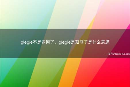 giegie不是退网了,giegie是落网了是什么梗(指流量明星违反规定被抓)