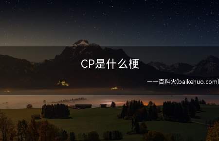 CP是什么意思（全称comicup,上海同人展,也称“魔都同人祭”）