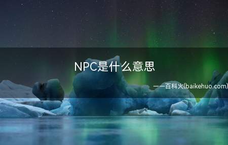 NPC是什么意思(Non)