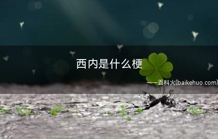 西内是什么梗（日语空耳）