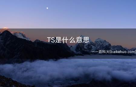 TS是什么意思(LPL赛区IG战队上单选手The Shy的简称)