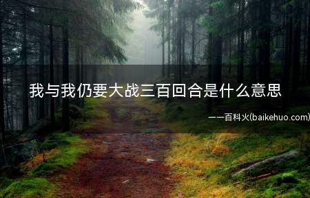 我与我仍要大战三百回合是什么梗(全句为:)