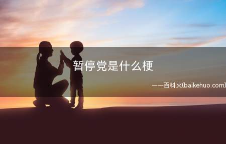 暂停党是什么梗(收看视频全过程中会眼明手快按住暂停键以抓住视频中一闪而过的小)