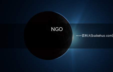 NGO是什么梗（Governmental Organizations英语缩写）