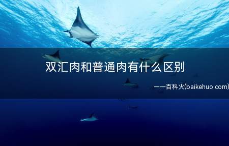 双汇肉和普通肉有什么区别(双汇冷鲜肉和一般肉的区别)