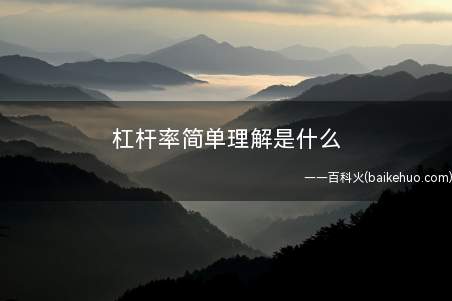 杠杆率简单理解是什么(杠杆率是一个考量公司债务风险性的指标值)