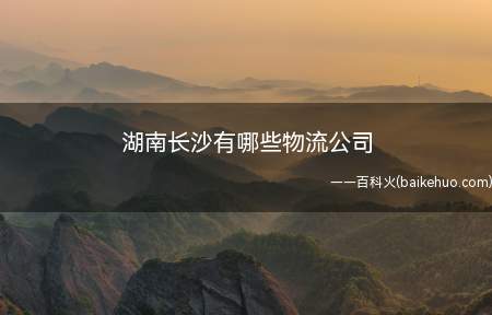 湖南长沙有哪些物流公司(湖南长沙物流公司众多,以下十家公司如下)