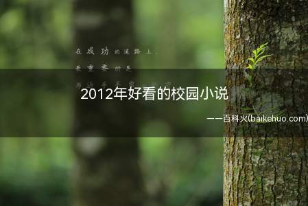 2012年好看的校园小说(作者是江南的《这里的少年》)