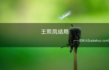 王熙凤结局(王熙凤死后,他被一片破旧的草席卷了_娱乐频道)