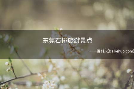 东莞石排旅游景点(石排公园和云岗古寺有什么区别?)