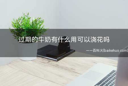 过期的牛奶有什么用可以浇花吗(用牛奶浇花最好是先稀释和发醇解决,并且频次不必太经常)