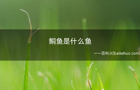 鲖鱼是什么鱼(古鲖阳城河全身上下金黄色的鱼)