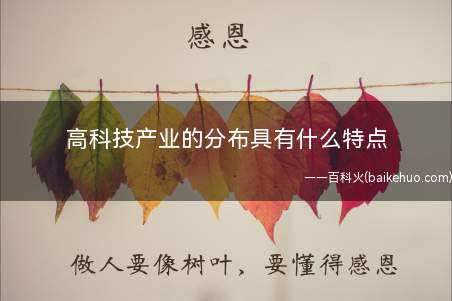 高科技产业的分布具有什么特点(高新技术开发区的形式分布)