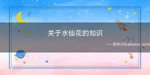 关于水仙花的知识(水仙为在我国十大名花之一,水仙仅用清水供奉而不需土壤层来培育)