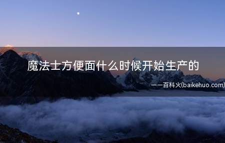 魔法士方便面什么时候开始生产的(2005年华丰新一代简单面条魔法师上市)