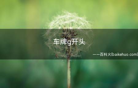 车牌g开头(绿色车牌g开头是插电式混动汽车)