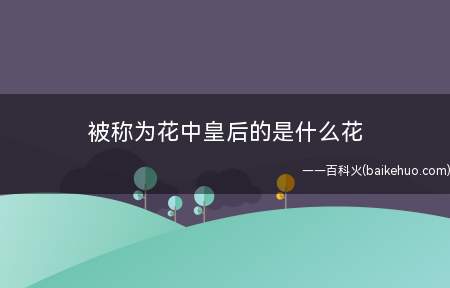 被称为花中皇后的是什么花（月季被称为花中皇后,又称月红）
