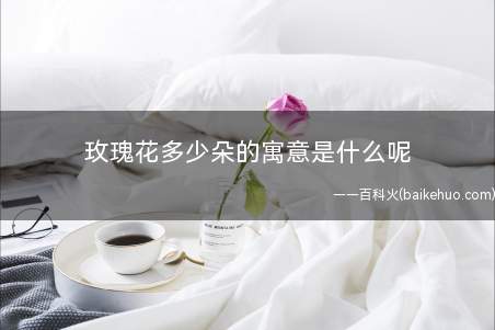 玫瑰花多少朵的寓意是什么呢(玫瑰代表唯一的含义,可以送给爱人。)