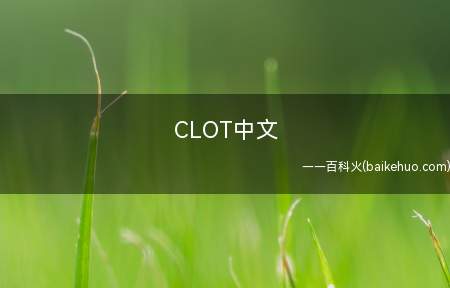 CLOT中文(香港著名艺术家陈冠希创办的凝结集团的缩写和公司时尚服装品牌的)