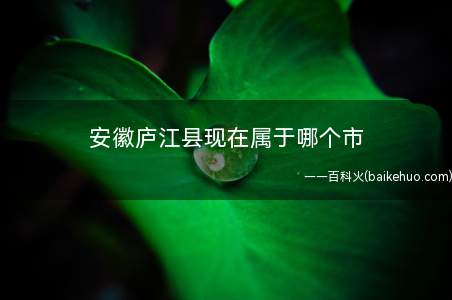 安徽庐江县现在属于哪个市(安徽“十三五”整体规划适度撤消)