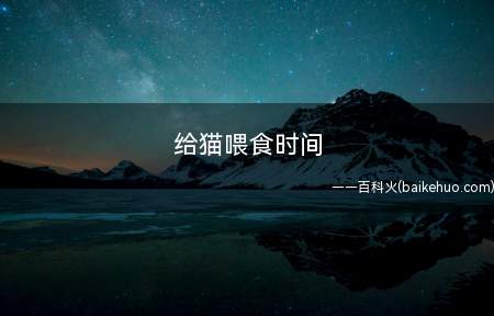 给猫喂食时间(给猫咪喂养的时间实际上并没清晰的要求)