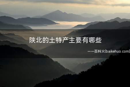 陕北的土特产主要有哪些(北京同仁堂佳州油枣入药可治百病的记载)