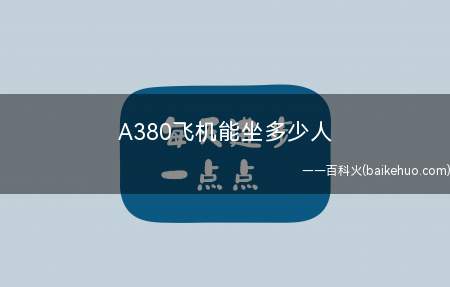 A380飞机能坐多少人(A380飞机的货物运输能力)