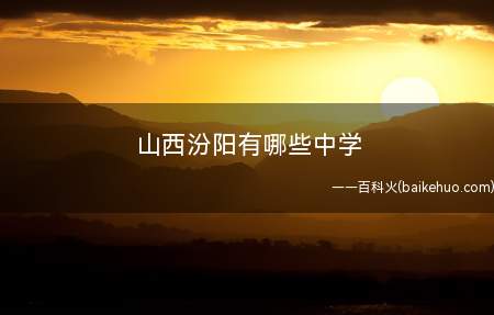 山西汾阳有哪些中学(山西省汾阳市第二高级中学校)