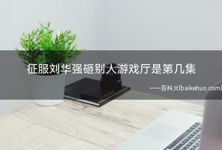 征服刘华强砸别人游戏厅是第几集(《征服》取材于石家庄的真实案例改编,黑老大刘华强的原型就是张)
