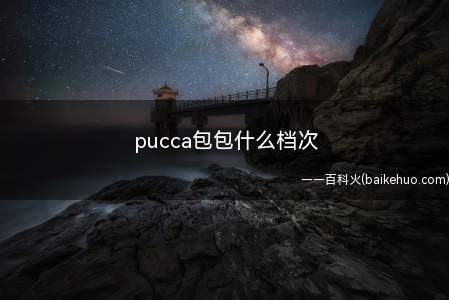 pucca包包什么档次(pucca包包属于中等档次)