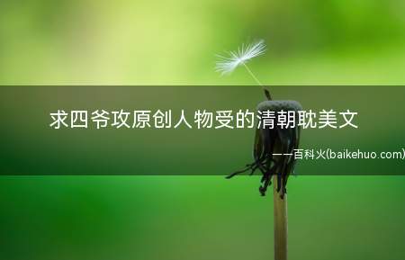 求四爷攻原创人物受的清朝耽美文(跨越时空的婚姻,作者:爱玲粉丝)