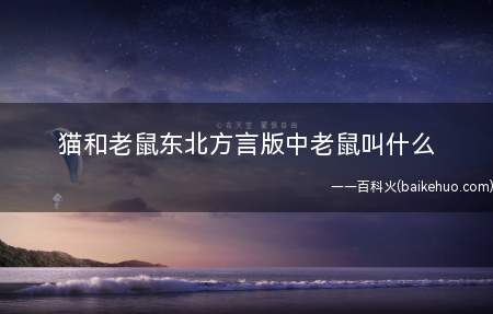 猫和老鼠东北方言版中老鼠叫什么(猫和老鼠东北方言版中老鼠叫小不点)