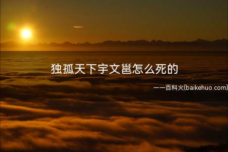 独孤天下宇文邕怎么死的(宇文邕的身体本来就不好)
