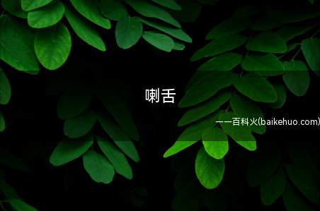 喇舌(喇舌在台湾本指舌吻,台湾乐团大嘴巴创作了一首名为《喇舌》的歌)