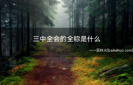 三中全会的全称是什么(中国共产党第十八届中央委员会第三次全体会议)