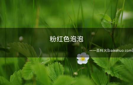 粉红色泡泡(粉红色泡泡是川都里子写的书)