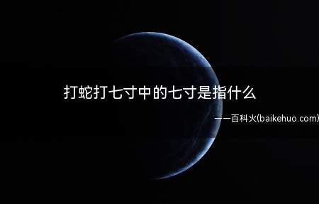 打蛇打七寸中的七寸是指什么（打蛇打七寸中的七寸是指蛇的心脏所在位置）