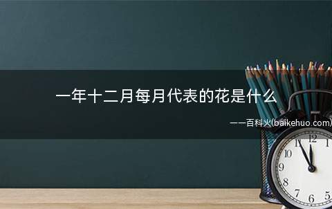 一年十二月每月代表的花是什么(一月梅花:姿态苍劲,愈冷愈开花,象征坚忍不拔精神,花白色香)