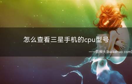 怎么查看三星手机的cpu型号(三星手机cpu型号方法)