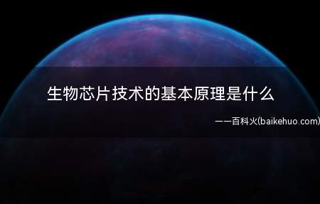 生物芯片技术的基本原理是什么(生物芯片技术的基本原理)