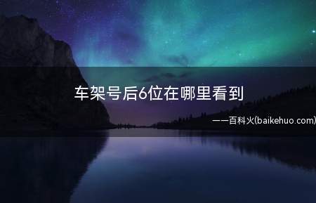 车架号后6位在哪里看到（以北美的车辆识别代码标准）