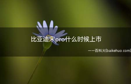 比亚迪宋pro什么时候上市
