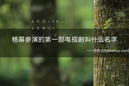 杨幂参演的第一部电视剧叫什么名字