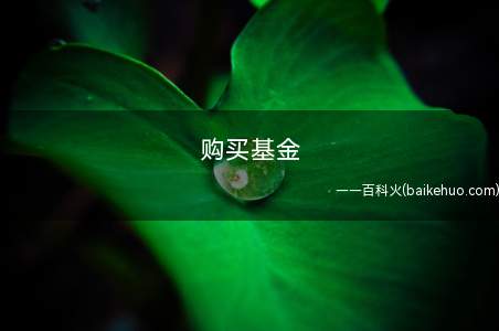 购买基金 怎么在网上购买基金