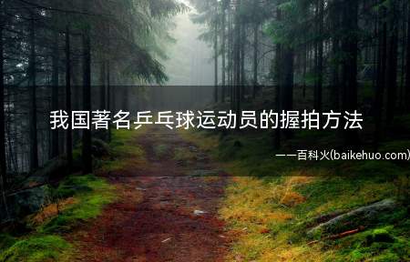 我国著名乒乓球运动员的握拍方法