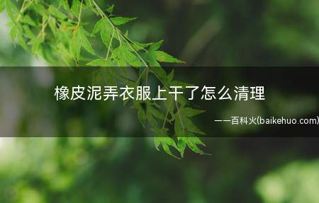 橡皮泥弄衣服上干了怎么清理