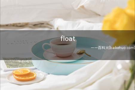 float是什么意思
