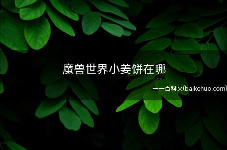 魔兽世界小姜饼在哪