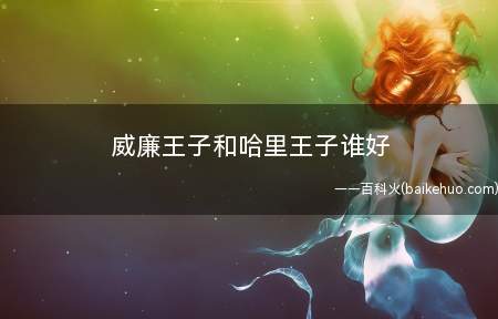 威廉王子和哈里王子谁好