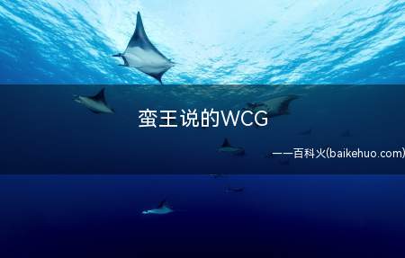 蛮王说的WCG是什么意思